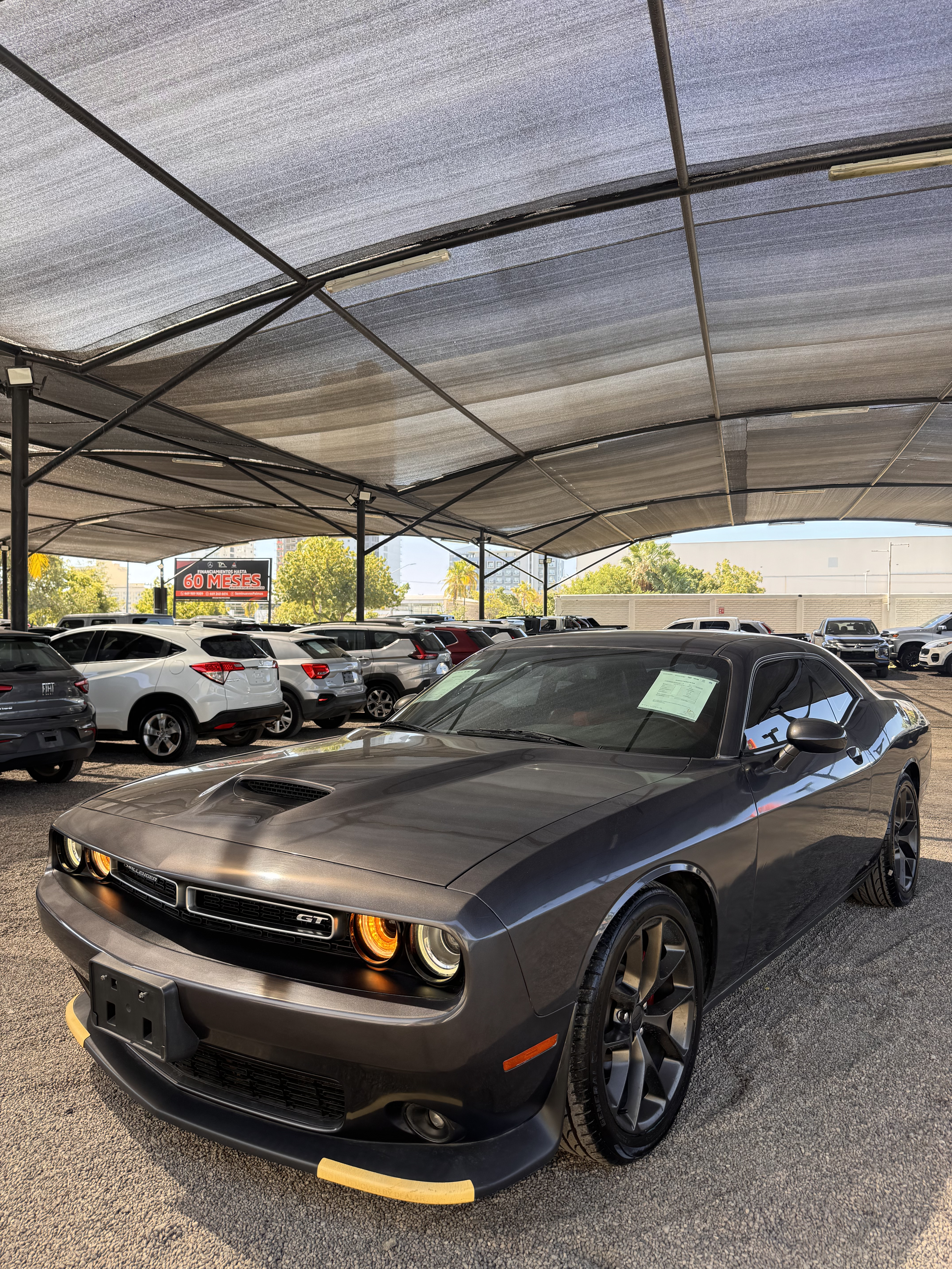 Challenger 2019 Granito - KH538433